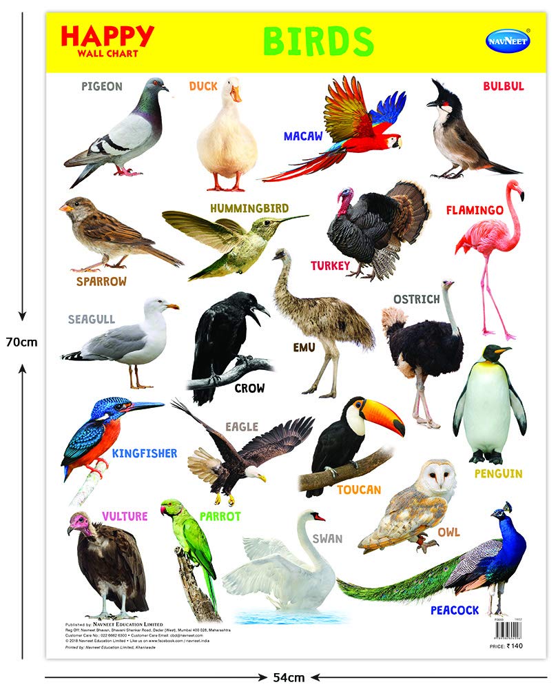 Navneet Happy Wall Chart Birds Wall Chart Manoj Stores