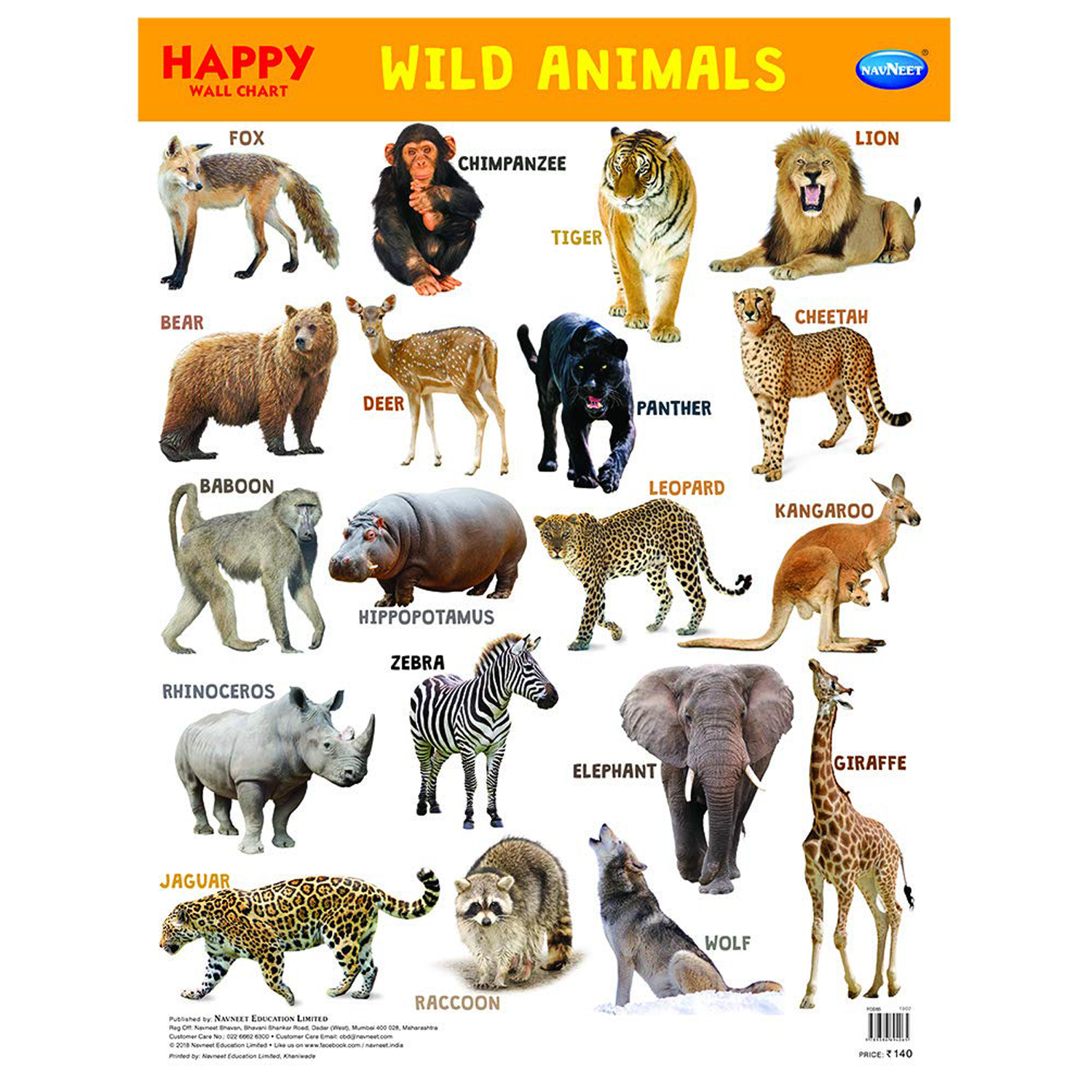 Animals review. Wild Chart. Wild animal names. The animals. Wild animals book.