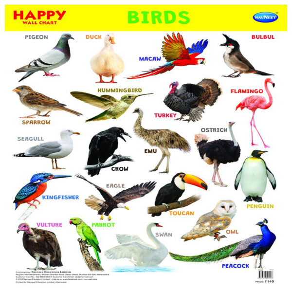 Age 2+ Navneet Happy Birds Wall Chart