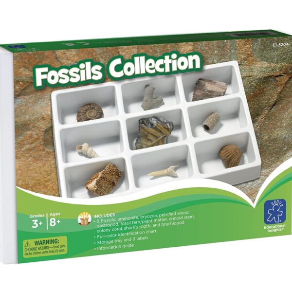 Age 8+ Educational Insights Fossil Collection