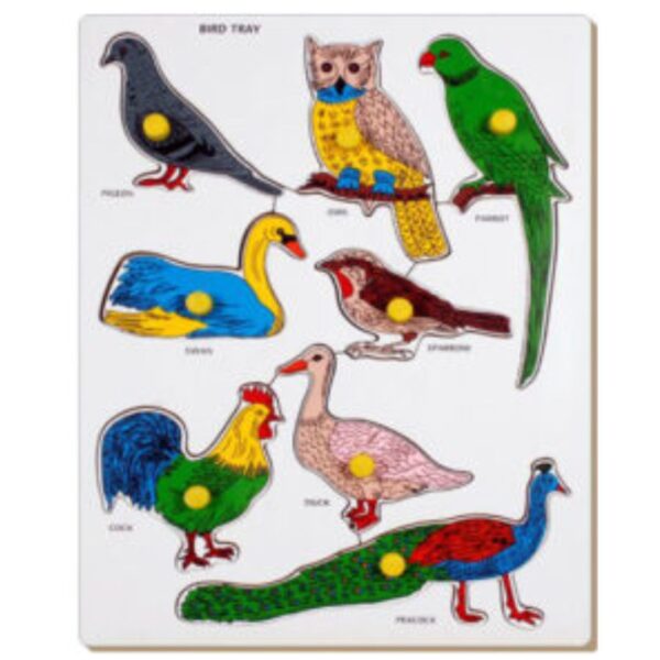 Age 3+ Little Genius Bird Parrot Tray With Knob