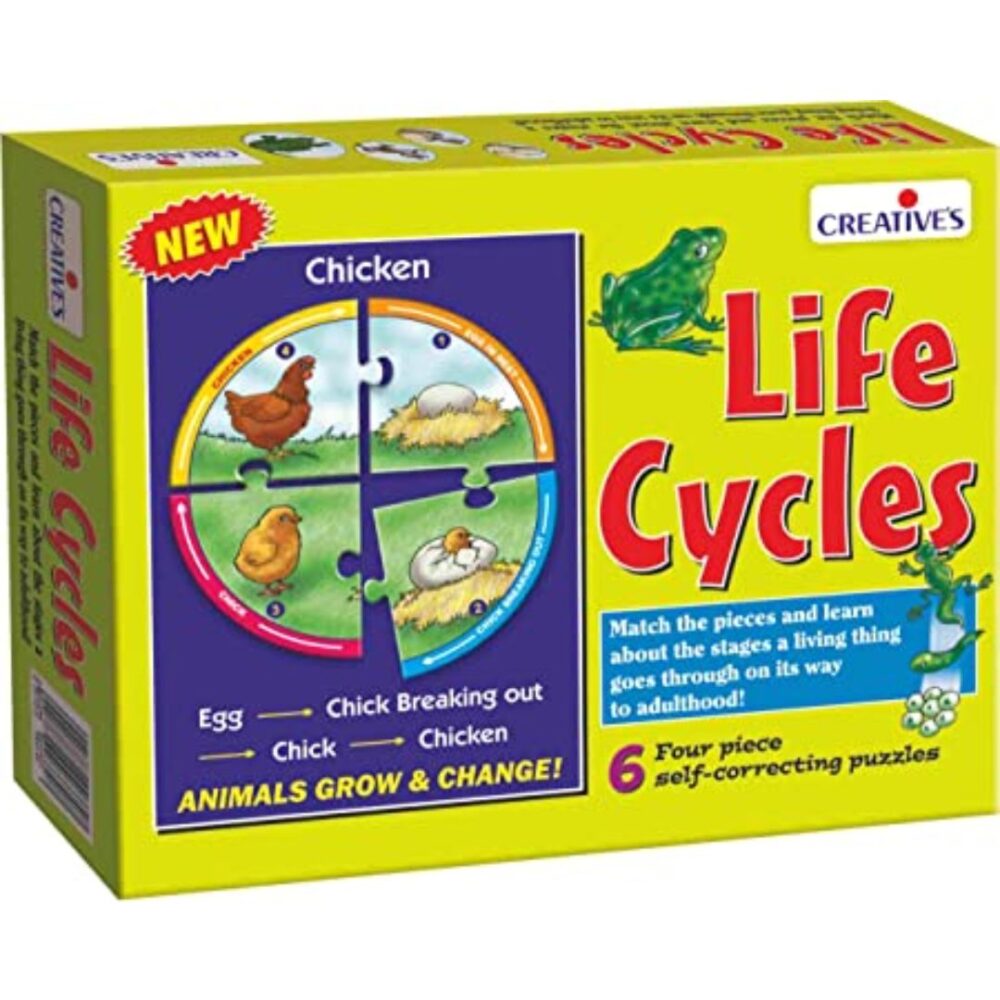 Age 5+ Creative Life Cycles