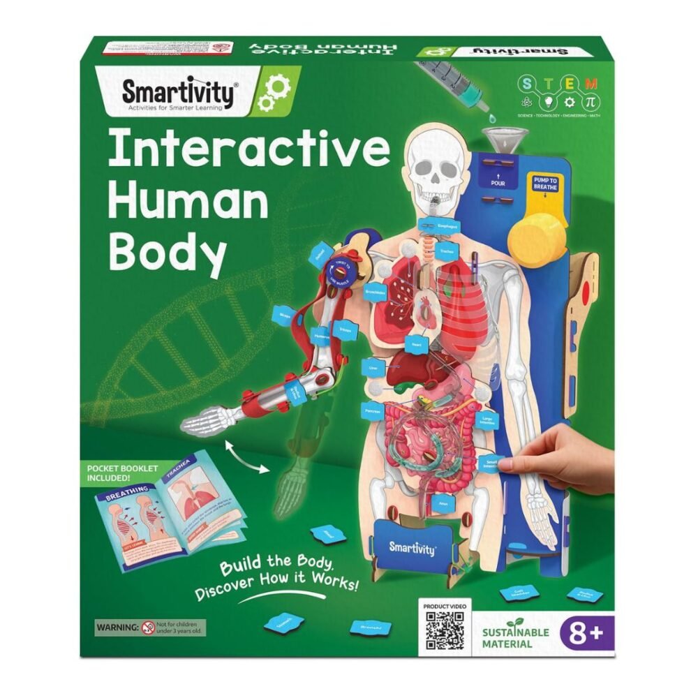 Smartivity Interactive Human Body Model